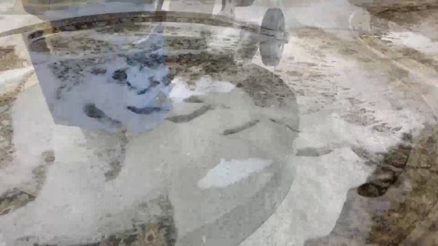 Профессиональная чистка ковров в Краснодаре