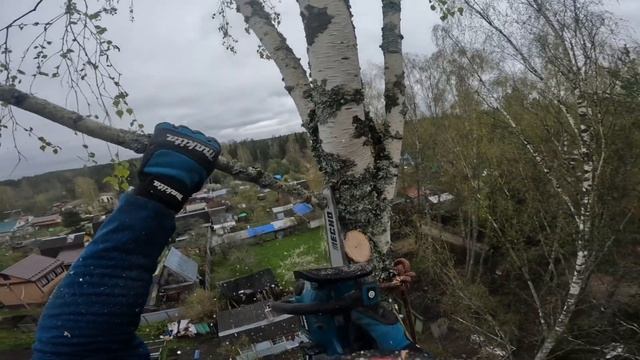 Удаление деревьев с завешиванием частей | Арбористика
