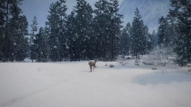 Трейлер theHunter: Call of the Wild (Alberta Hunting Preserve, дата релиза, раскрытие)