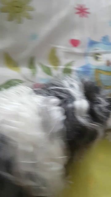 угадайте кто😍