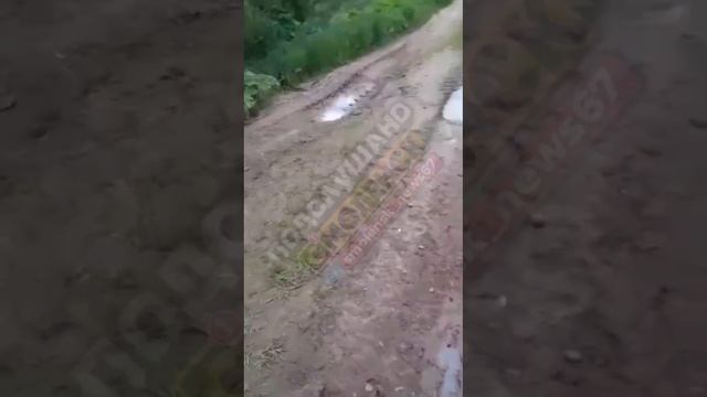 ⏺В деревне началась травля полей химикатами, которую начал совхоз в Смоленской области.