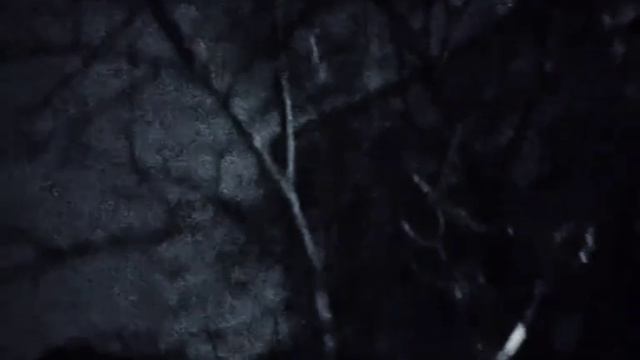 すべてがうまくいくでしょう。