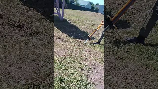 1000021020.mp4