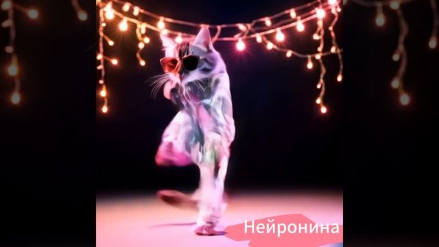 Кот танцует Брейк Данс