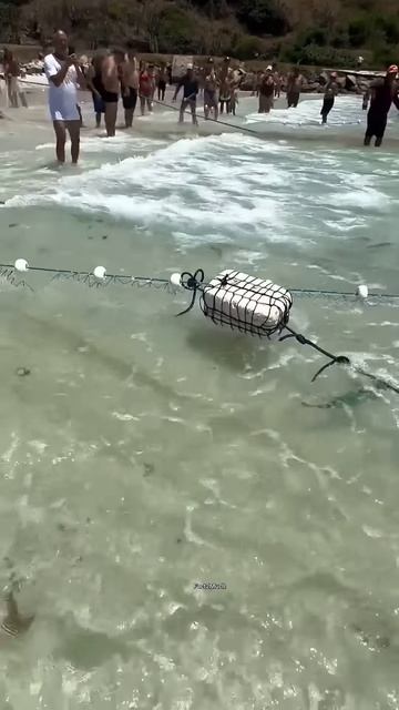 We should clean ocean #shortsvideo