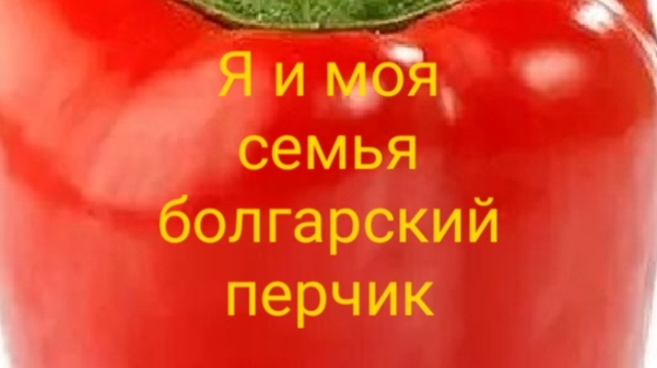 Болгарский перчик 🫑
