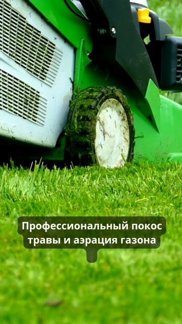 Покос травы газона триммером газонокосилкой