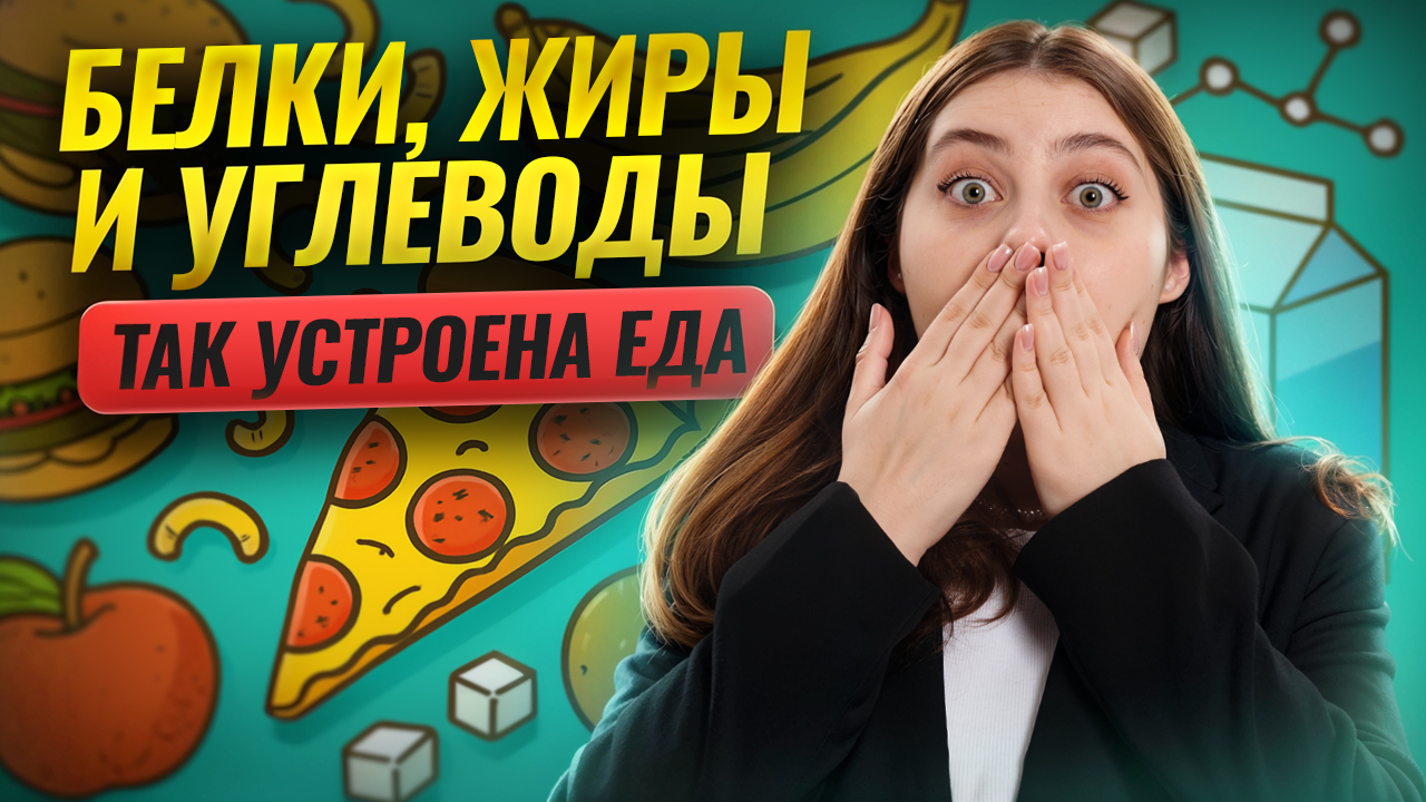 Как устроена еда: белки, жиры, углеводы — простыми словами | Биология ЕГЭ | Умскул