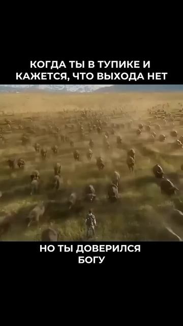 когда ты в тупике кажется что в выходной день ну, ты доверился Богу. 🙏 🍿📽️🍿