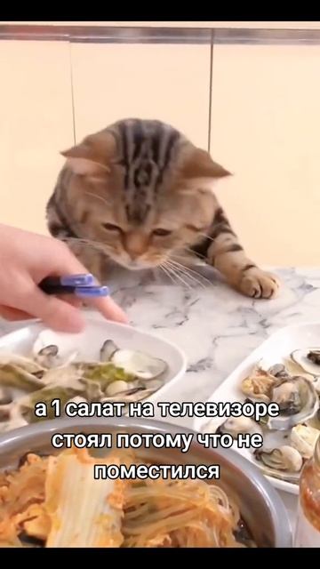 не смотрите маты! хочется жрать