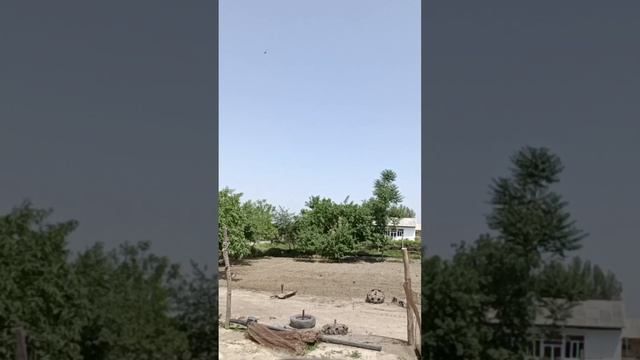 Ровняем землю и нарезаем борозды — ускоренное видео 16