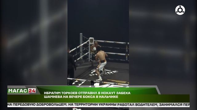 Ибрагим Торкоев отправил в нокаут Забеха Шамиева на вечере бокса в Нальчике