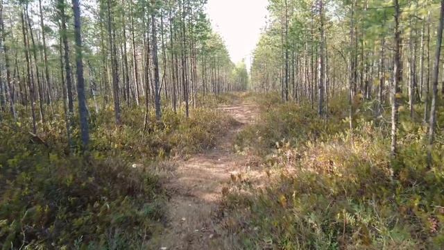 День туризма в озерном парке «Картопья»