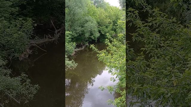 На кухне...и в парк))