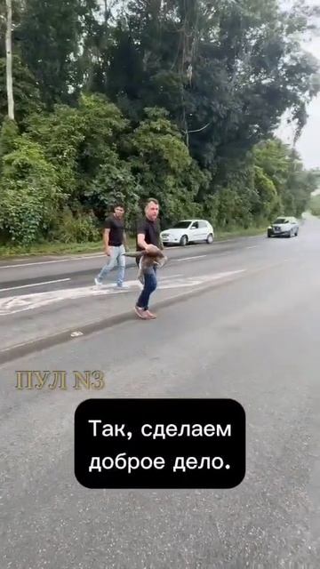 Давай, ползи малыш.