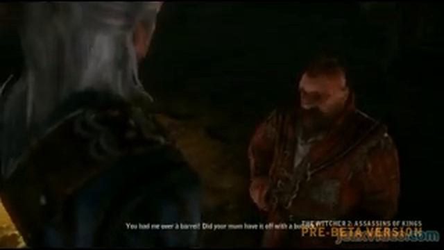 The Witcher 2   Assassins of Kings PC mini  games Низкое качество меньше
