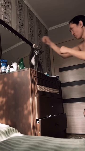 Ушу - укушу