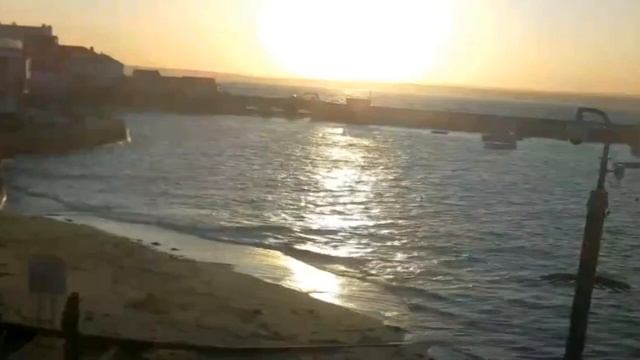 Топ-7 деревьев, которые не стоит сажать в своем саду