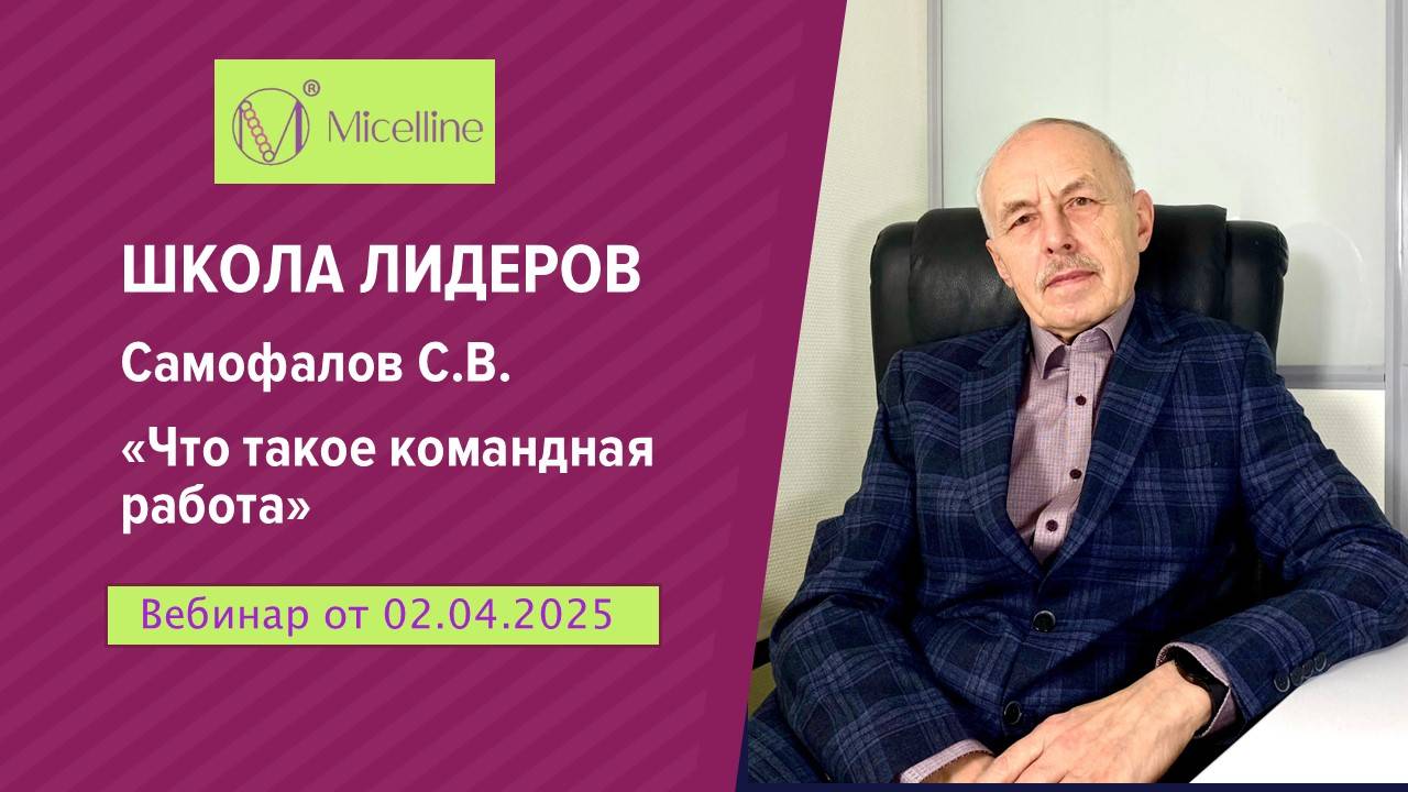 Школа лидеров. Самофалов С.В. Что такое командная работа. 02.04.2025