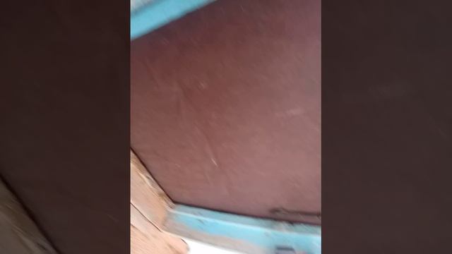 Обзор на мою деревню😁😁