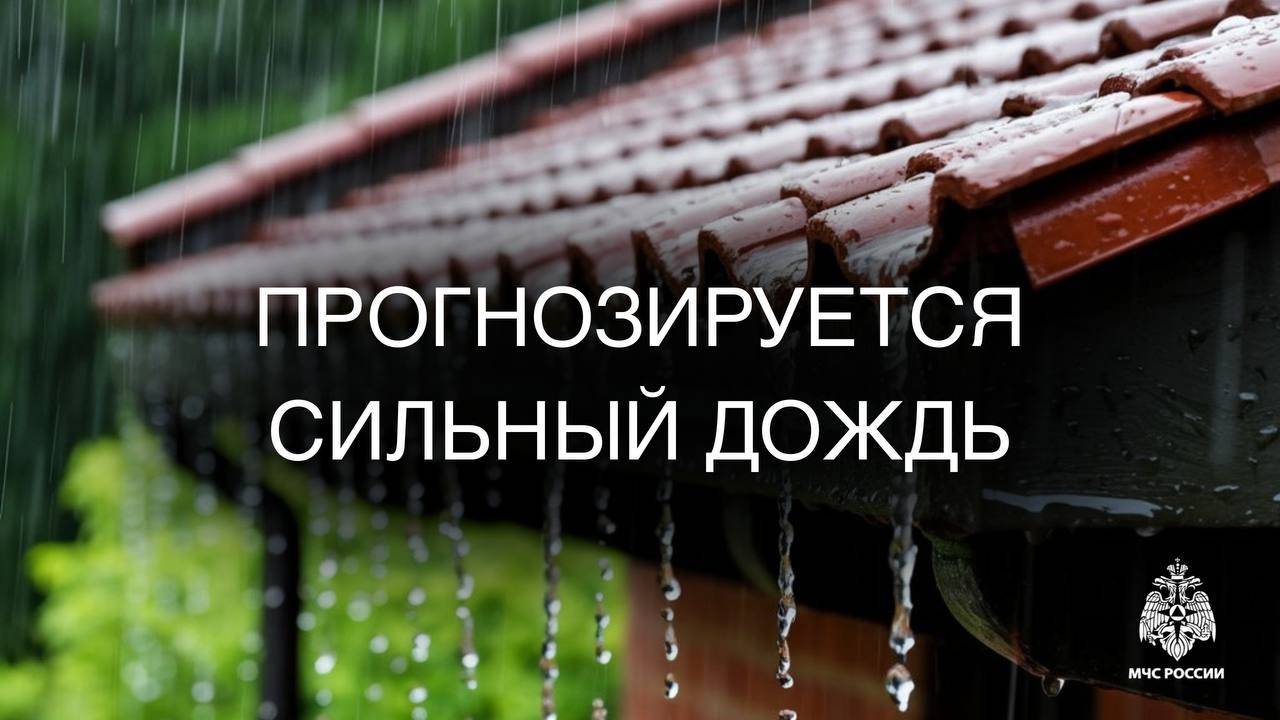 Сильный дождь прогнозируется на территории Сахалинской области