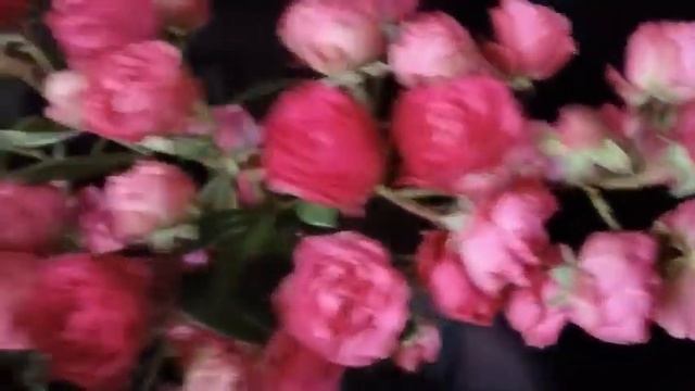 ГОТОВИМСЯ К ЗИМЕ 🌹🥀 СОЦВЕТИЕ РОЗЫ «Динки»