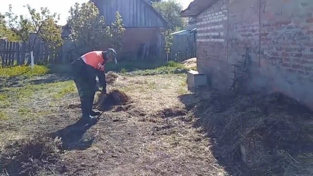 МОЯ РАССАДА ПОМИДОР // ГОТОВИМСЯ К ПОСЕВНОЙ // ДЕРЕВЕНС?
