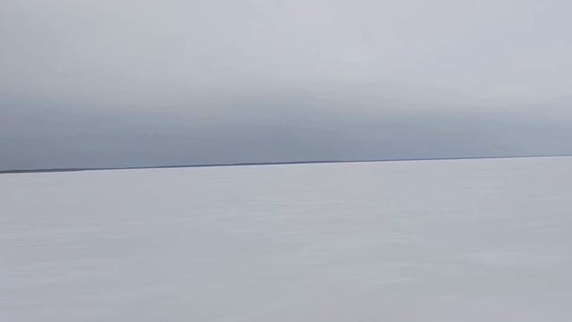 Велопоход на болото Оршинский Мох  -  test-2025-06-04_231927