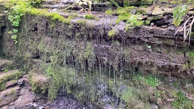 Копорье. Река и водопад.
