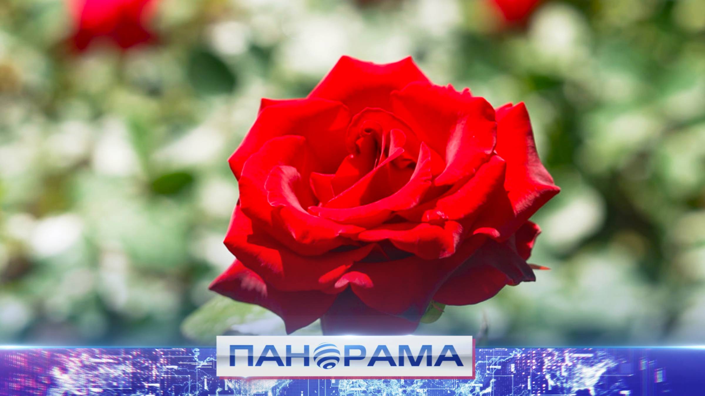 Донецк занимает III место во Всероссийском конкурсе «Культурная столица 2027»