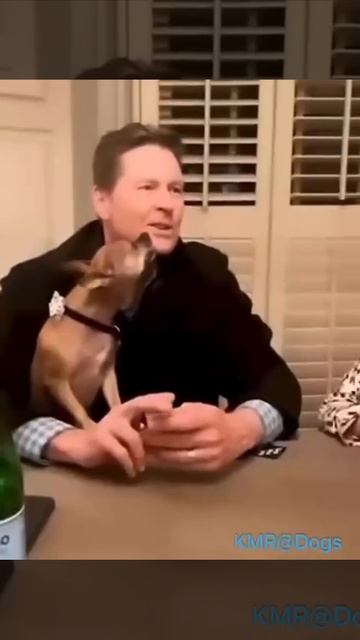 Собака–лучше для мужчины нет🪒😂