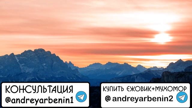 ЛЕГКИЙ СПОСОБ ПЕРЕСТАТЬ РЕВНОВАТЬ | РЕВНОСТЬ | КАК НЕ БОЯТЬСЯ ИЗМЕНЫ  #андрей_арбенин