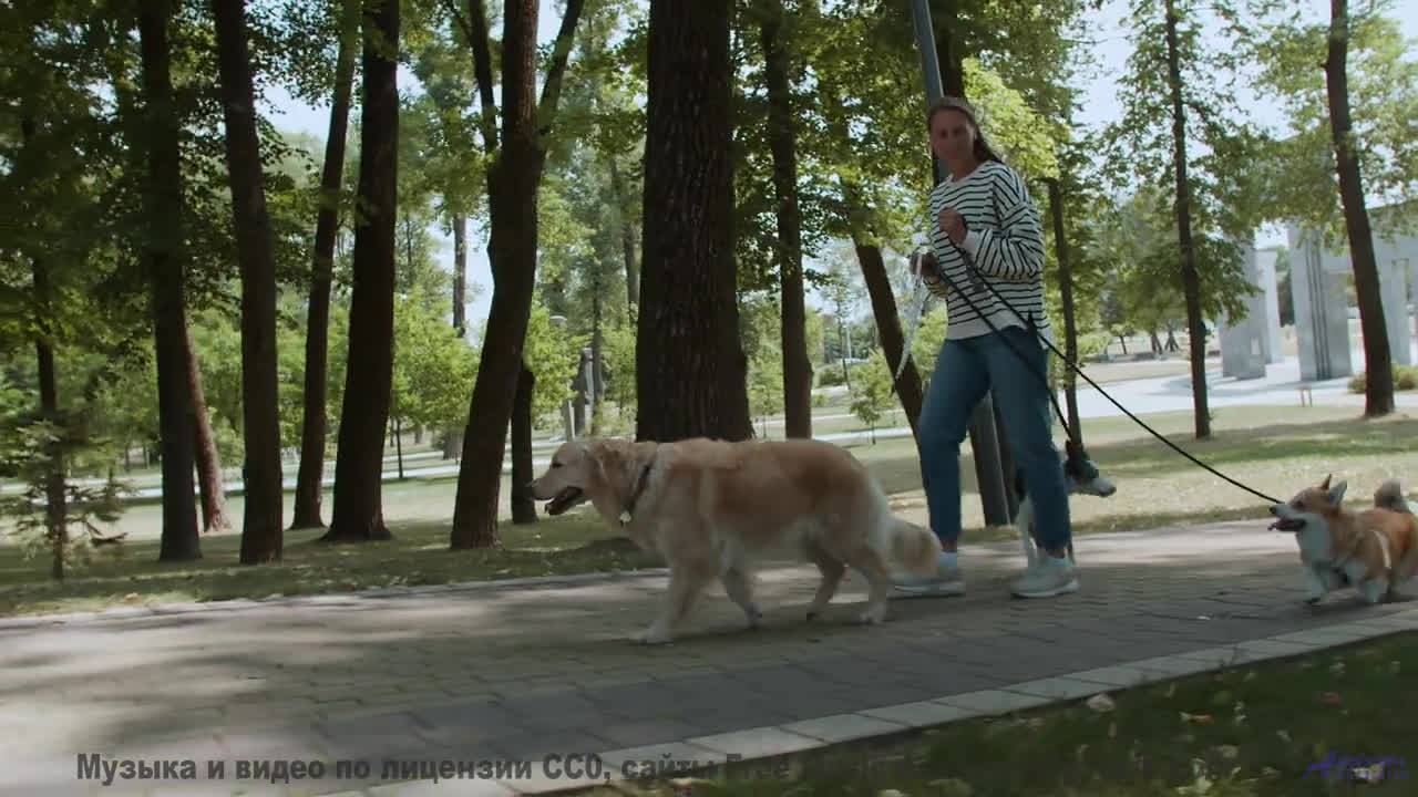 Горы, которые поют о любви - слушайте их голос! - Storybook -- Scott Holmes Music -- Inspiring Backg