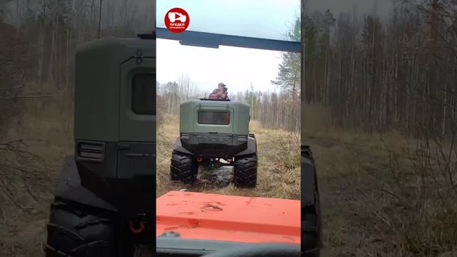 Два Тингера. Лес. Торф. Болото. 50 км бездорожья. На севере Омской области.