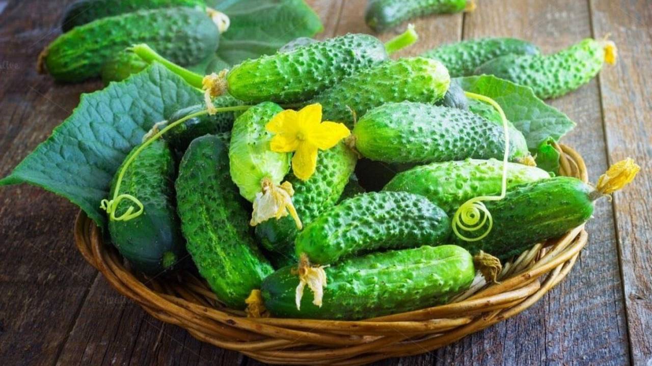 Бочковые огурцы на зиму. Быстро и просто . Рецепт без уксуса.