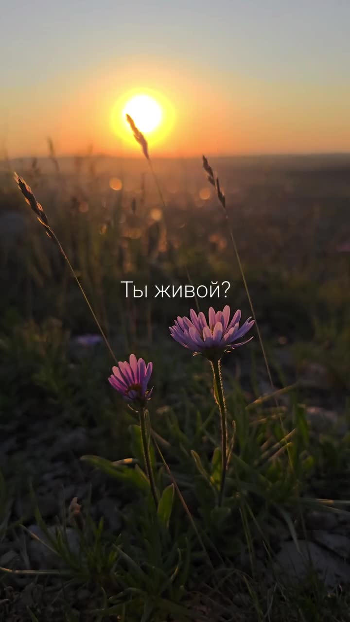 Красноярские походы, подробнее на стене группы