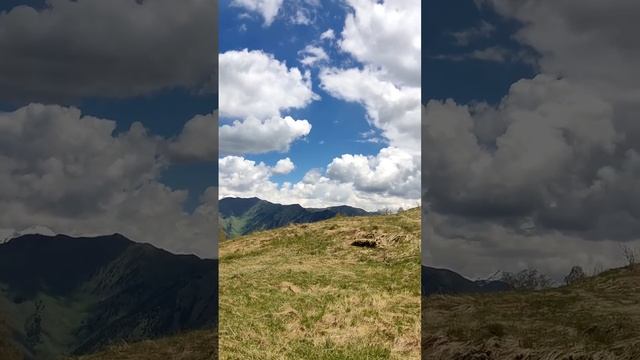 1000255943.mp4