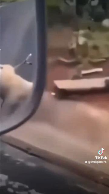 не сегодня чувак 😂