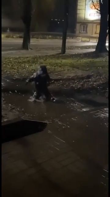04-06-2025.Кому-то очень весело, но только не маме, которая увидит своих чад.