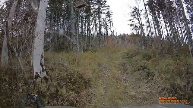 поездка на гору Лысая