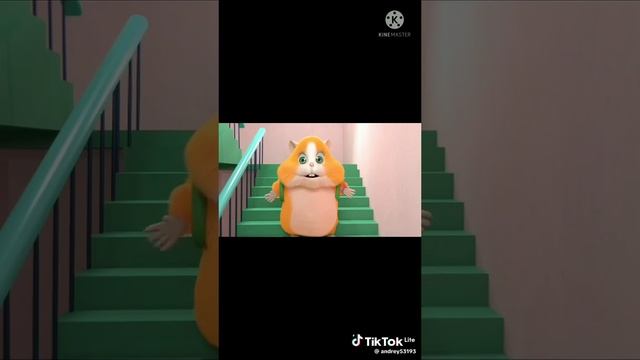1000018854.mp4