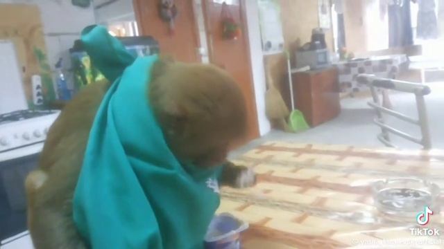 Николай Любит сладенькое🍦🤣🤣🤣