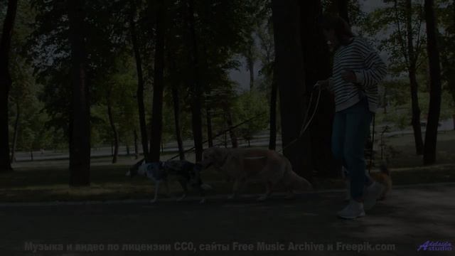Пейзажи открывают сердце вместе с этим треком - Cyan Sing -- Tim Woulfe -- A House Is A Holding
