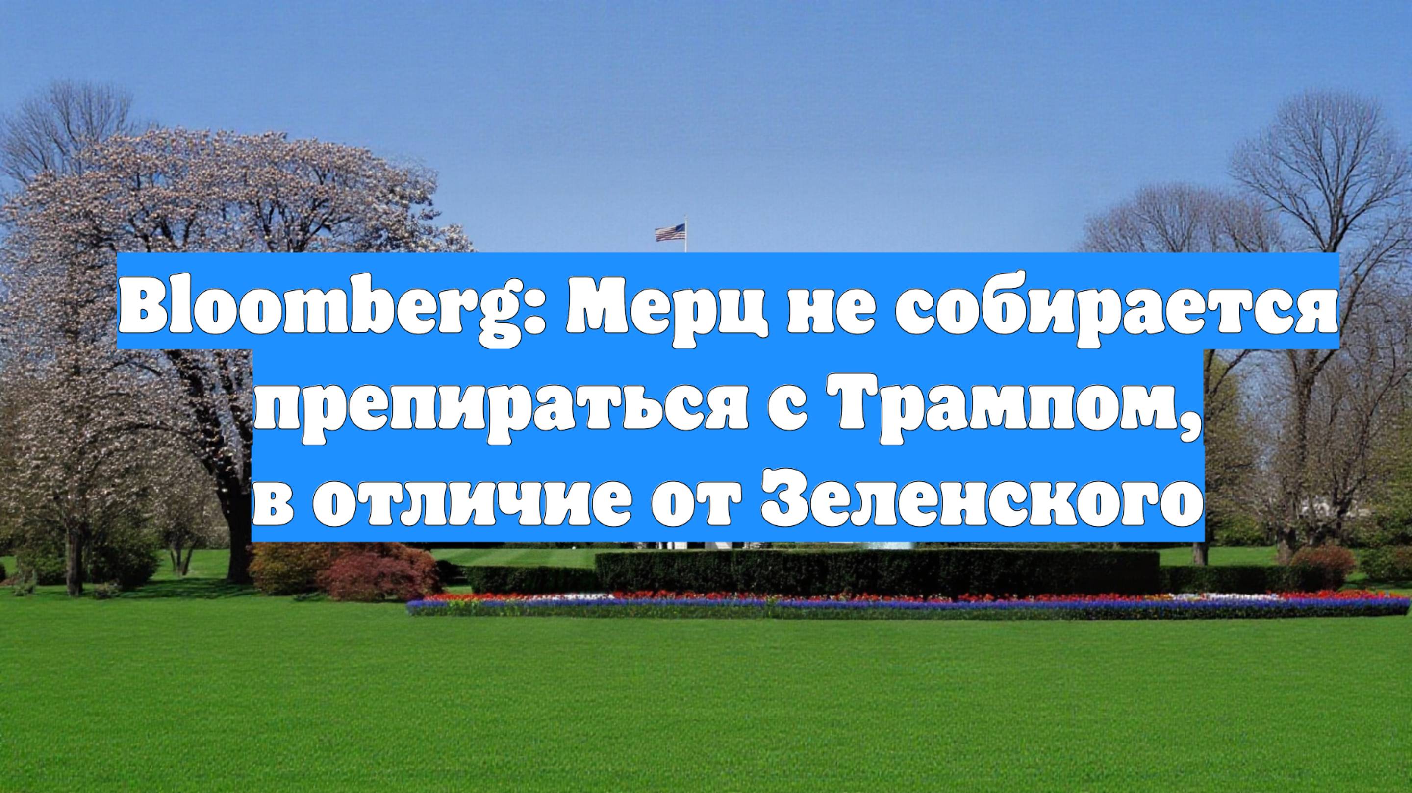 Bloomberg: Мерц не собирается препираться с Трампом, в отличие от Зеленского