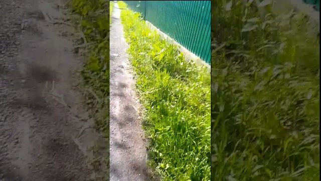 2 сезон 4 серия улица