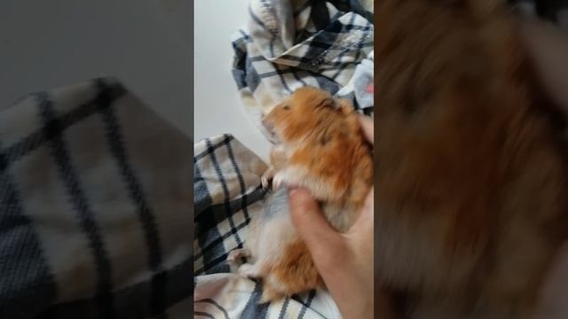 VID_20250604_142346.mp4