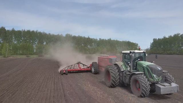 Horsch Avatar 12.25 SD - посев рапса по минималке .
