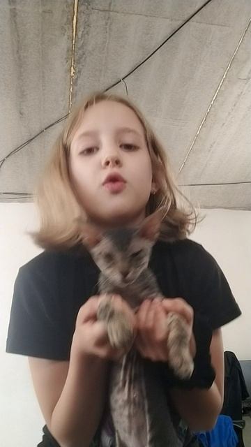 Это мой котёнок её зовут Симона,Сима,Симона