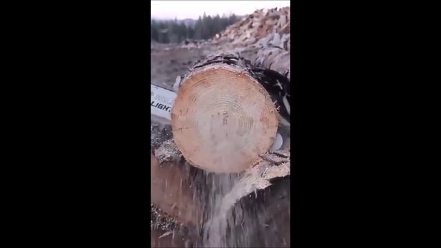 Станок для заточки цепей бензопил.