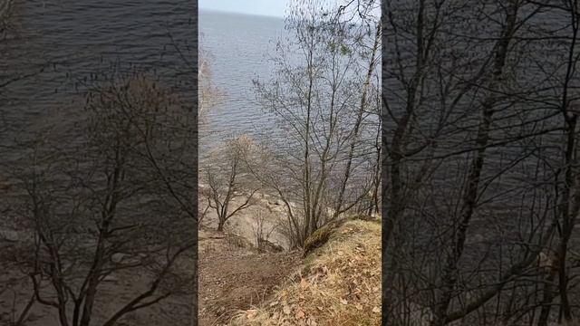 Часть тропы Южного берега Финского залива,п.Лебяжье